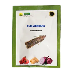 WAVAR Tuta Absoluta Lure (Tomato Leaf Miner) | 2 Lures  Per Packet(Quantity-5 packets)