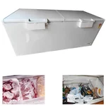 Heavy Duty 734 Liter Double Door Convertible Deep Freezer with 4 Years Compressor Warranty