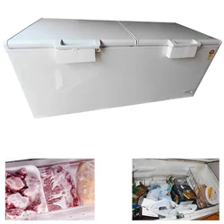 Heavy Duty 734 Liter Double Door Convertible Deep Freezer with 4 Years Compressor Warranty