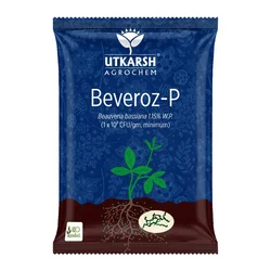 Utkarsh Beveroz-P (Beauveria Bassiana 1.15% W.P. 1 x 10^8 CFU/gm min.) for Plants, Crops, and Home Gardening | 1 Kg(Pack-1 x 1 kg)