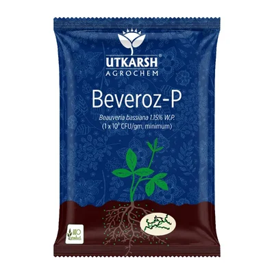 Utkarsh Beveroz-P (Beauveria Bassiana 1.15% W.P. 1 x 10^8 CFU/gm min.) for Plants, Crops, and Home Gardening | 1 Kg(Pack-1 x 1 kg)