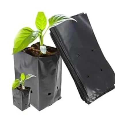 AgriVision 5x7 Inch Black Nursery Bags (100 Pcs) UV Coated Plastic Grow Bags for Seedlings, Saplings & Plant Cultivation
