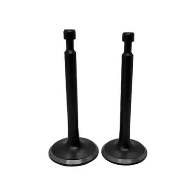 High Quality Valve set for Engine in Agriculture Water Pump (Pack Of 10)