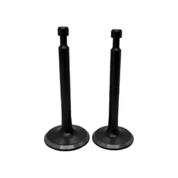 High Quality Valve set for Engine in Agriculture Water Pump (Pack Of 10)