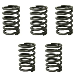 High Quality Valve Spring for Agriculture Water Pump (Pack of 50 Pcs)
