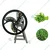 10 Kg Manual Saag Cutting Machine, Vegetable Cutter Bhaji Cutter with SS blades