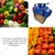 0.5HP Motor Operated Vegetable Cutter Machine with Stainless Steel Blades