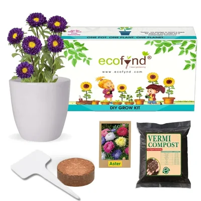 Ecofynd GROWKIT013 DIY Grow Kit fo Aster Mix DIY Easy Grow Kit Yourself Gardening Flower Kit for Home and Gardening Set