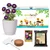 Ecofynd GROWKIT013 DIY Grow Kit fo Aster Mix DIY Easy Grow Kit Yourself Gardening Flower Kit for Home and Gardening Set