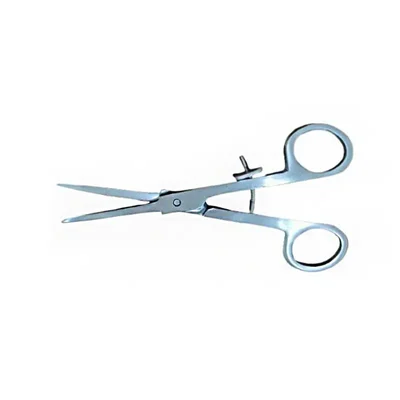 Stainless Steel Teat Scissors Rust Free Pointed Surgical Instrument for Cattle Use