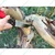  Premium Quality Foldable Pruning Saw for Garden