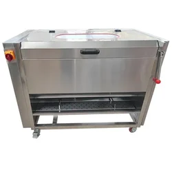 2 in 1  Vegetable Washer Cum Peeler Machine with 2 HP Motor, 250 kg/hr Capacity