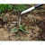 Redbuild 2 in 1 Hand Weeder with 1 Feet Handle | Rust Proof | Hand Weeder for Gardening (Pack Of 2)
