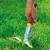 Wolf Garten KS-2K Weed Extractor-Efficient Weeding and Planting Tool