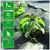 Siddhi 110 GSM 1 meter x 50 meter Weed Mat | Suitable for Agriculture, Horticulture and Nursery