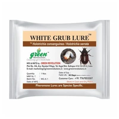 Green Revolution Highly Effective White Grub Insect Lure | H. serrata H consungunia(Quantity-5 packets)