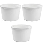 150ml x 1000pcs White Disposable Small Paper Tubs without Lid, 195GSM for Picnic, Travel, Food Truck
