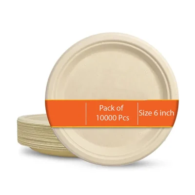 10000 Pcs, 6 Inch White Round Bagasse Plate for Serving Snacks, Birthday, Wedding and Party