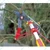 Wolf-Garten Adjustable Professional Bypass Tree Lopper without handle
