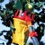 Wolf Garten Multi Star Articulated Fruit Picker RG-M (Adjustable) without handle for Fruit Harvesting