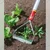 Wolf Garten Multi Star Push Pull Weed Pen RF-M with ZM-AD 85 Handle for Garden