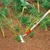 Wolf Garten GS-M 14 Multi-Change Scuffle Hoe – Efficient Weeding Tool for Light Soils