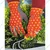 Wolf Garten Soil Care Pilot Gloves GH-BA 8 (Size-8)(Size-8)
