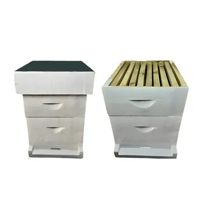 BeeReady Wooden Beehive Box for Apis Cerana & Apis Mellifera Beekeeping and Honey Production With Removable Frames