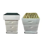 BeeReady Wooden Beehive Box for Apis Cerana & Apis Mellifera Beekeeping and Honey Production With Removable Frames