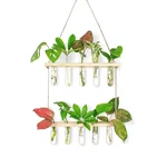 Ecofynd TTP007 Wooden 2-Tier Wall Hanging Test Tube Planter for Elegant Indoor Decor