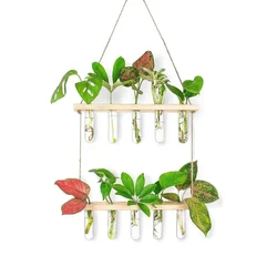 Ecofynd TTP007 Wooden 2-Tier Wall Hanging Test Tube Planter for Elegant Indoor Decor
