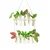 Ecofynd TTP007 Wooden 2-Tier Wall Hanging Test Tube Planter for Elegant Indoor Decor