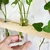 Ecofynd TTP007 Wooden 2-Tier Wall Hanging Test Tube Planter for Elegant Indoor Decor