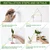Ecofynd TTP007 Wooden 2-Tier Wall Hanging Test Tube Planter for Elegant Indoor Decor