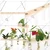 Ecofynd TTP007 Wooden 2-Tier Wall Hanging Test Tube Planter for Elegant Indoor Decor