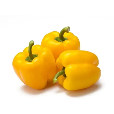 GEBDINSH Yellow Capsicum Seeds for Home Gardening, Kitchen Terrace Farming, and Polyhouse Cultivation