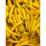 GEBDINSH Yellow Chilli Vegetable Seeds High Germination for Home Kitchen Gardening and Terrace Farming