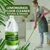 Zimmer Aufraumen (1 Liter x 4 Pcs) German Formulation Lemongrass Floor Cleaner With Idduki Lemongrass Oil