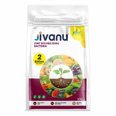 Jivanu 500 gm ZSB (Zinc Solubilizing Bacteria)
