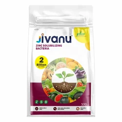 Jivanu 500 gm ZSB (Zinc Solubilizing Bacteria)