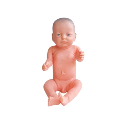 Elecopto Neonatal Training AS-404-A Imported New Born Baby New Style Fully Movable Limbs CPR Practice