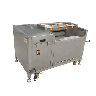 Brush Roller Vegetable Washer & Peeler Machine 800 MM Roller Size, 200–300 Kg/Hr Capacity, Stainless Steel Body