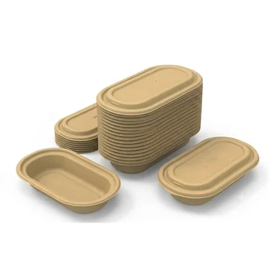 Chuk 500ml Biodegradable Container with Lid 1000pcs, Sugarcane Bagasse Bowl for Parties Family Events