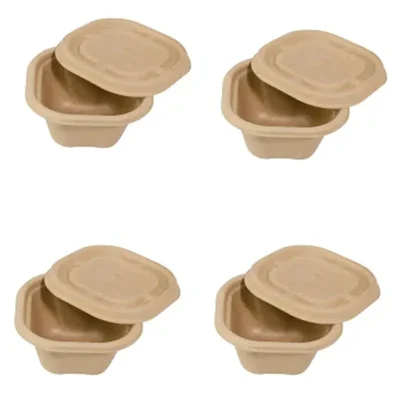 Chuk 750ml Biodegradable Delivery Container with Lid 500pcs, Sugarcane Bagasse Bowl for Parties Family Events