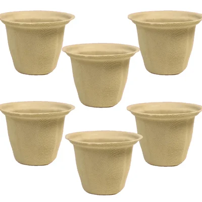 Chuk 110ml Biodegradable Glass 500pcs, Sugarcane Bagasse Glass for Parties Family Events