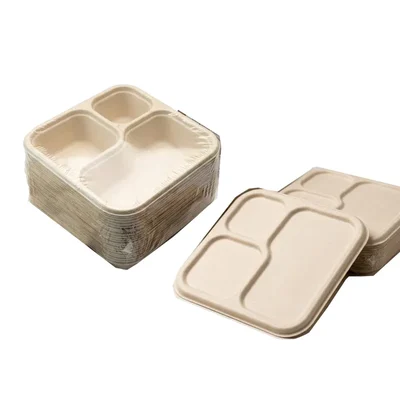 Chuk 3 CP Biodegradable Meal Tray with Lid 1000pcs, Eco Friendly Food Plate for Parties, Catering & Family Events
