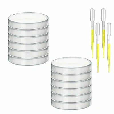VVS Polypropylene Petri Dish 50mm 12Pcs With Dropper 3ml 4Pcs Set of 16 For Bacteria Cultivation Lab Testing