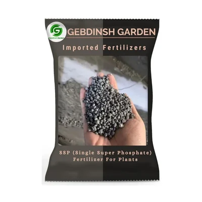 GEBDINSH 2 KG SSP Granules - Strong Roots & Single Super Phosphate (1 Pc)