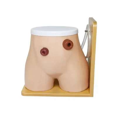 ConXport Reusable Ostomy Nursing Model Colostomy Ileostomy Simulator