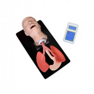ConXport Advanced Human Trachea Intubation Model Adjustable Neck